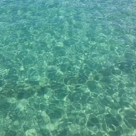 La Perla Nel Mare - アラッシオ