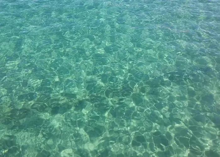 La Perla Nel Mare - アラッシオ